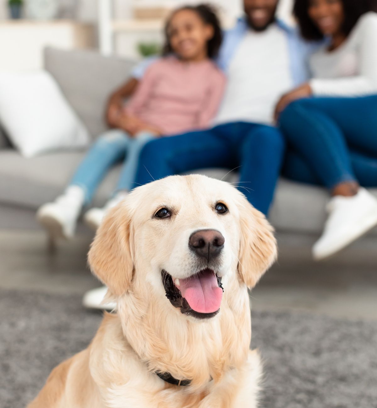 Happy dog with family behind